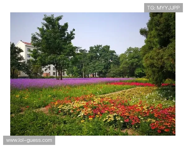 皮尔洛的落叶球,曾经是多少人的青春回忆 皮尔洛的落叶球,曾经是多少人的青春回忆