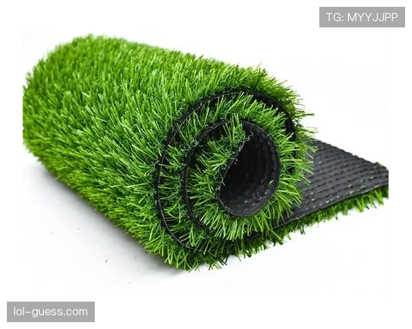 罗马与拉齐奥共用的奥林匹克体育场草皮更换工程启动，采用混合草技术